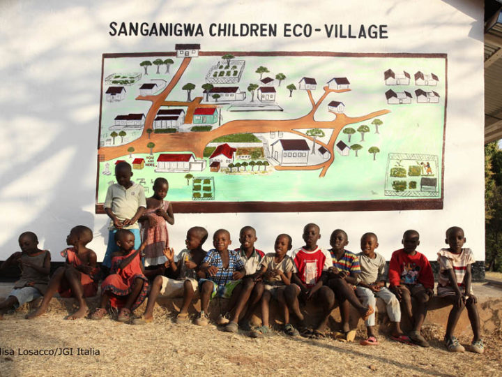 Le risorse energetiche eco-sostenibili di Sanganigwa