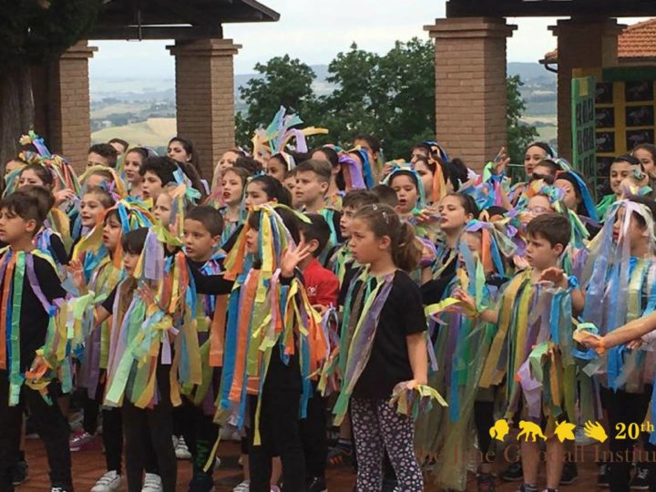 Festival Roots&Shoots per la Tutela dell’Ibis eremita con le scuole del Gabbro e di Castelnuovo
