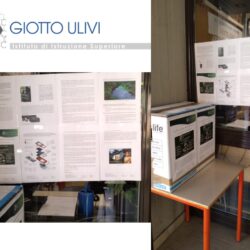 Liceo & ITIS Giotto Ulivi - Punto di Raccolta a Borgo San Lorenzo (FI)