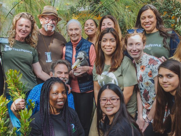 Notte Europea dei ricercatori 2021: Jane Goodall oggi live con gli studenti della Calabria