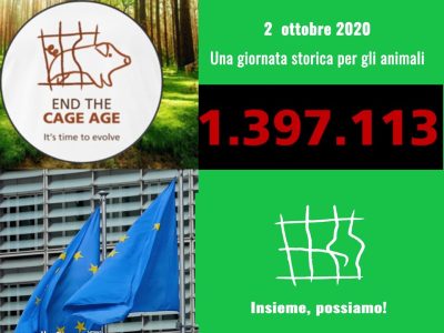 No alle gabbie negli allevamenti: consegnate alla Commissione Europea un milione 400mila firme – Grazie