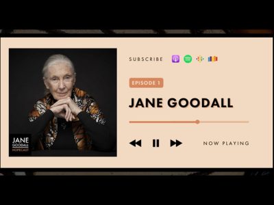 Jane Podcast 8: Jane e… la borsa del postino