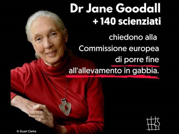 Dr Jane Goodall alla Conferenza della Commissione Europea sul benessere degli animali