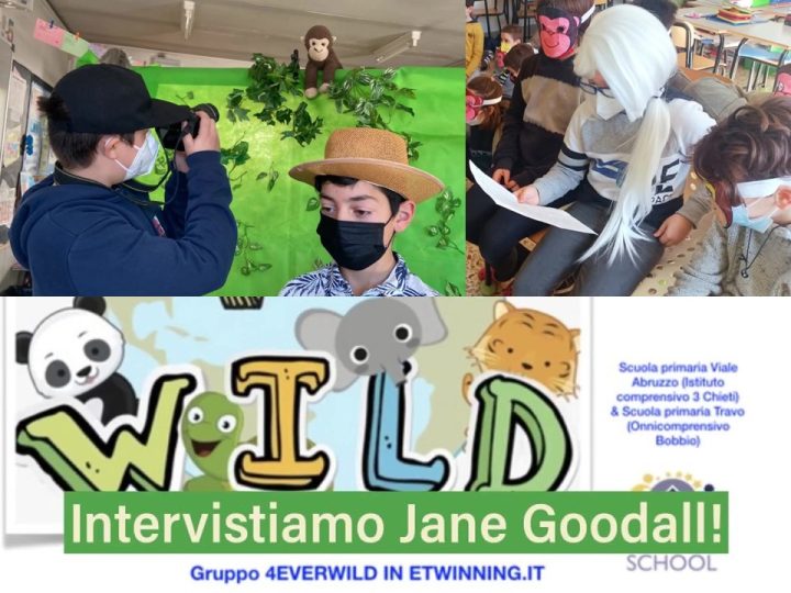 4EVERWILD con eTwinning.it: intervistiamo Jane Goodall!