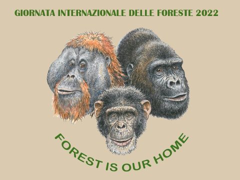 Giornata Internazionale delle Foreste 2022