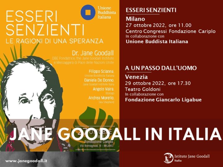 Jane Goodall a Milano: le ragioni di una speranza