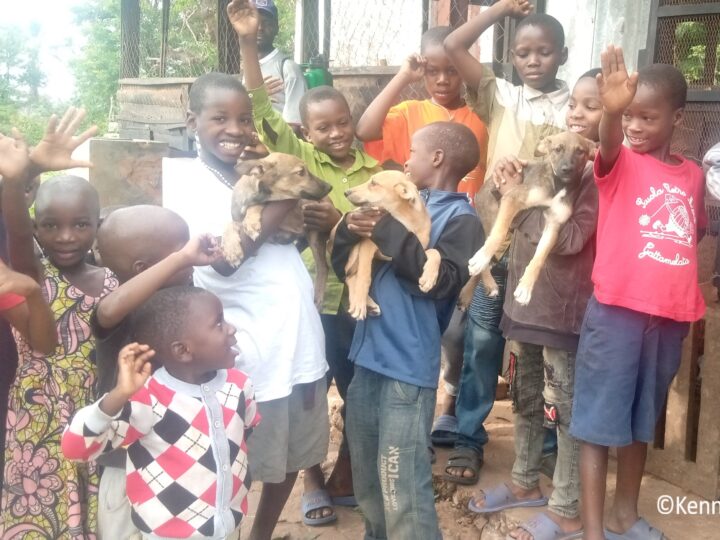 Roots & Shoots Sanganigwa accoglie 3 cagnolini