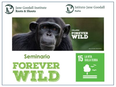 “ForeverWild” e Obiettivo 15 di Sviluppo Sostenibile con Marco Fiori e Daniela De Donno