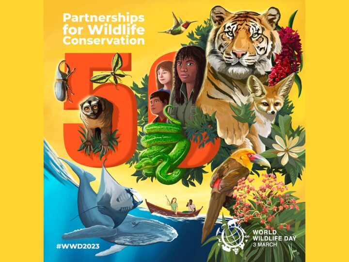 World Wildlife Day 2023: partnership per un futuro #ForeverWild