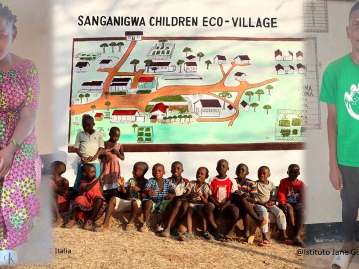 Altri 2 computer ai ragazzi di Sanganigwa che prendono la loro strada: Terezia e Seleman hanno scelto il campo sanitario