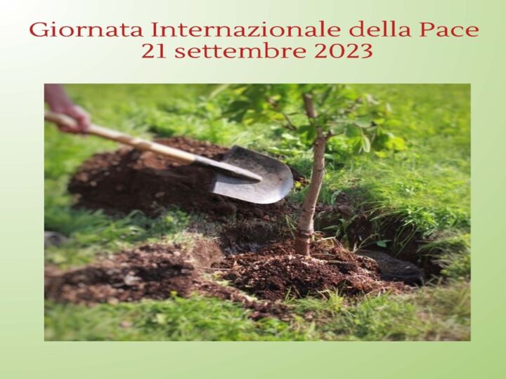 Giornata della Pace Roots & Shoots 2023: a Pescara si pianta un albero