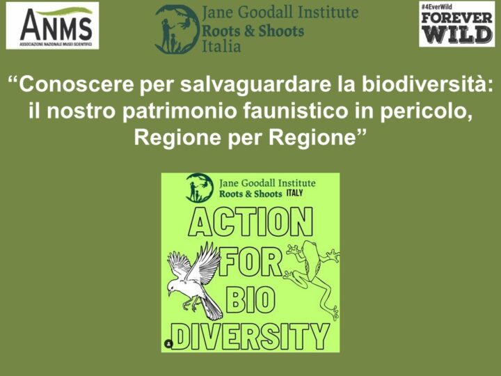 R & S Padova Action for Biodiversity al Congresso dell’Associazione Nazionale Musei Scientifici ANMS
