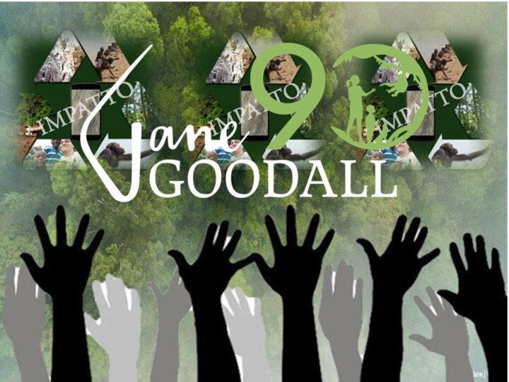 Festeggiamo Jane Goodall con l’azione!