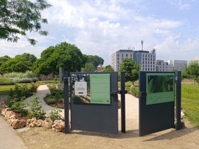 A Padova un giardino zen dedicato a Jane Goodall